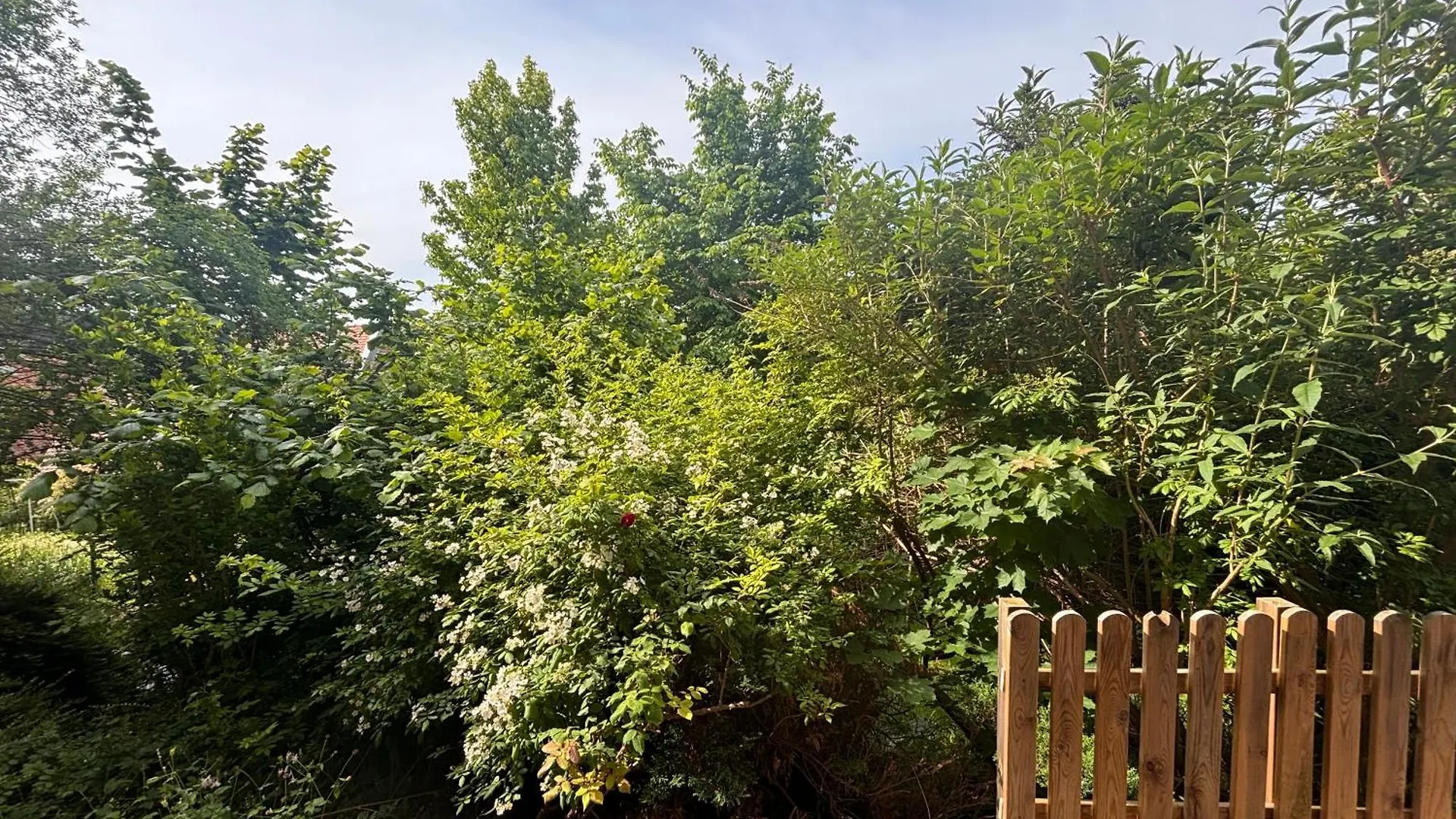 Cozy Apartment With Garden In Graz Free Parking